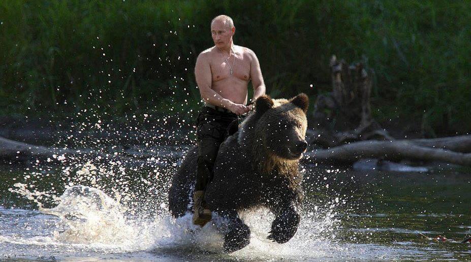 [Image: Putin-rides-a-bear.jpg]
