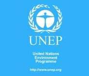 united nations billion tree campaign