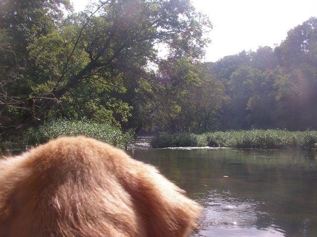 puppy's first trip down cypress creek