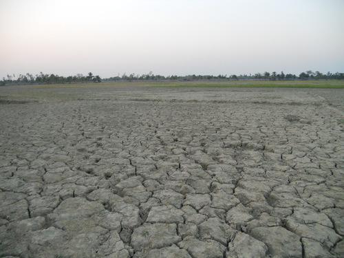 Many of the fields that were abundant before Aila are now barren due to salinity.