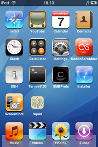 iPod Screenshot