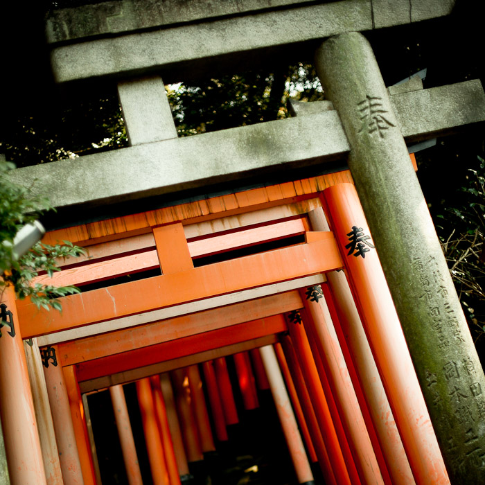 tori-gates-fushimi-inari-shrine-kyoto-8
