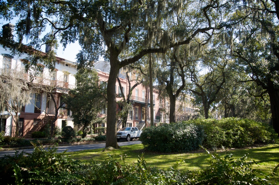 Here are some of the beautiful Savannah homes with the old live oaks.