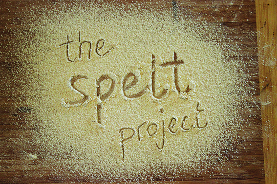 17967424_the spelt project