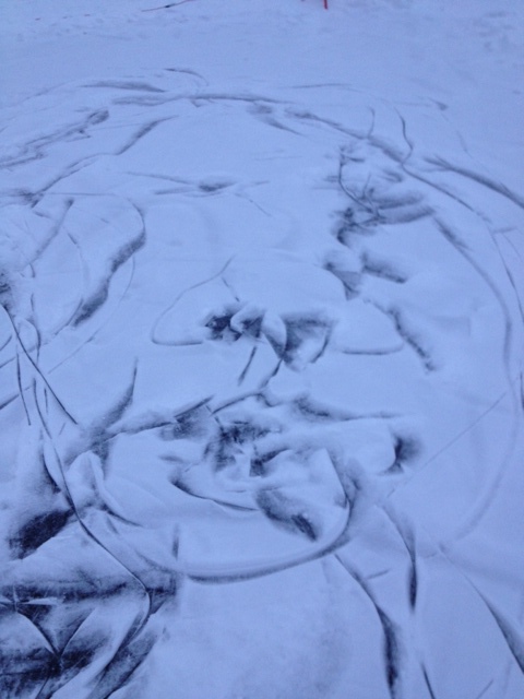 Portrait drawing by skating on ice with snow.  