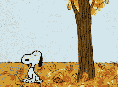 34931-Snoopy-Loves-Fall.gif