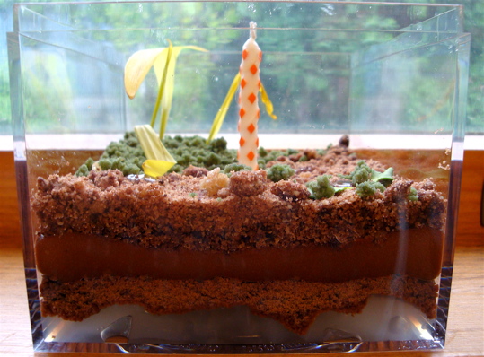terrarium-cake