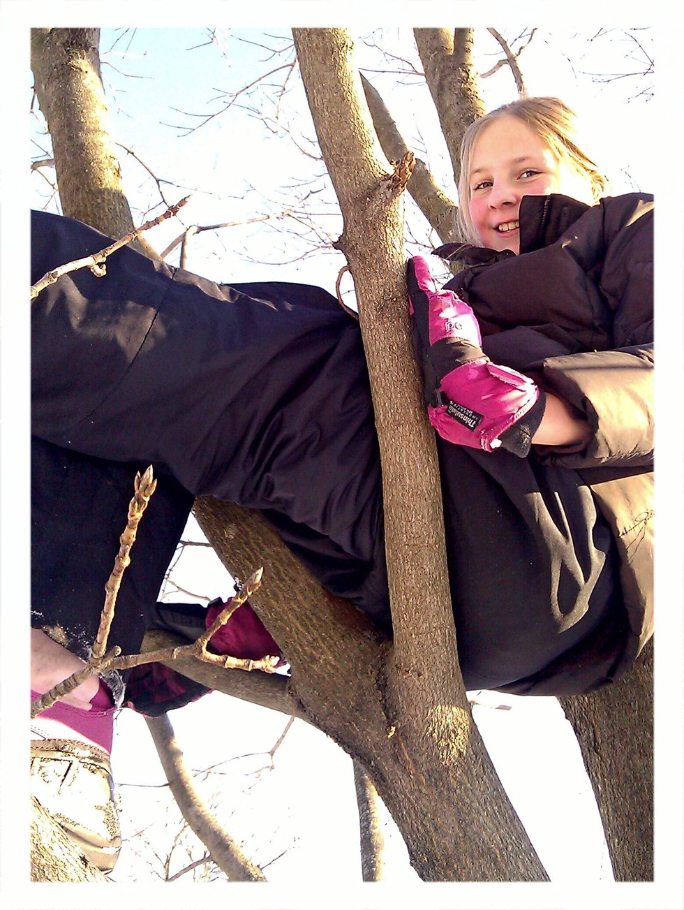 Olivia-in-tree