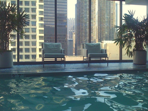 chicago hotel palomar poolside