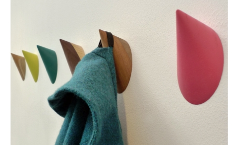 Limpet Wall hooks