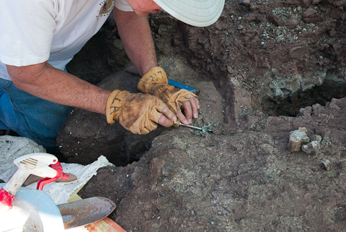 Larry removing a part of the fossil