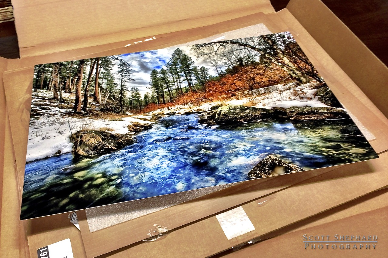 2013 11-14 Festival of Trees Print Is Here!