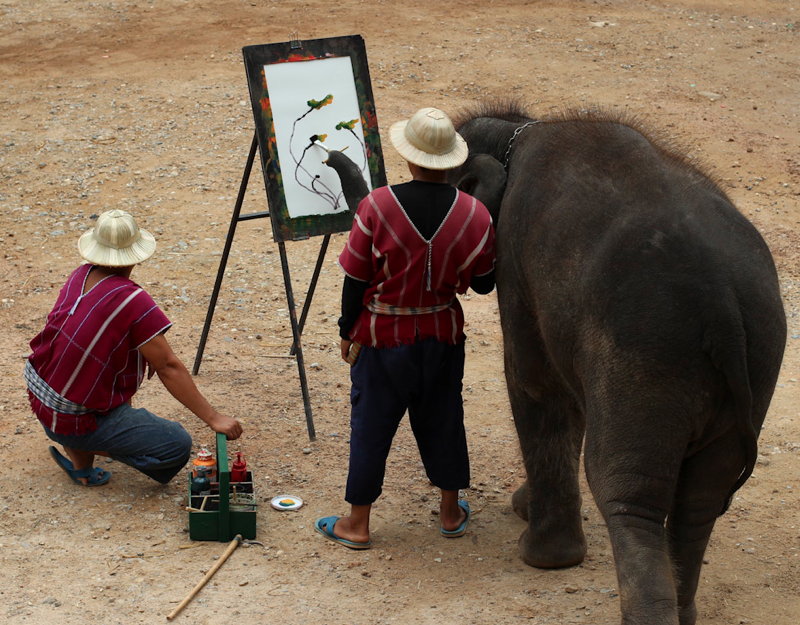An elephant painting at the Maesa Elephant Camp in Chiang Mai Thailand