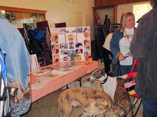6th annual West Coast Greyhound Gathering in Solvang, CA