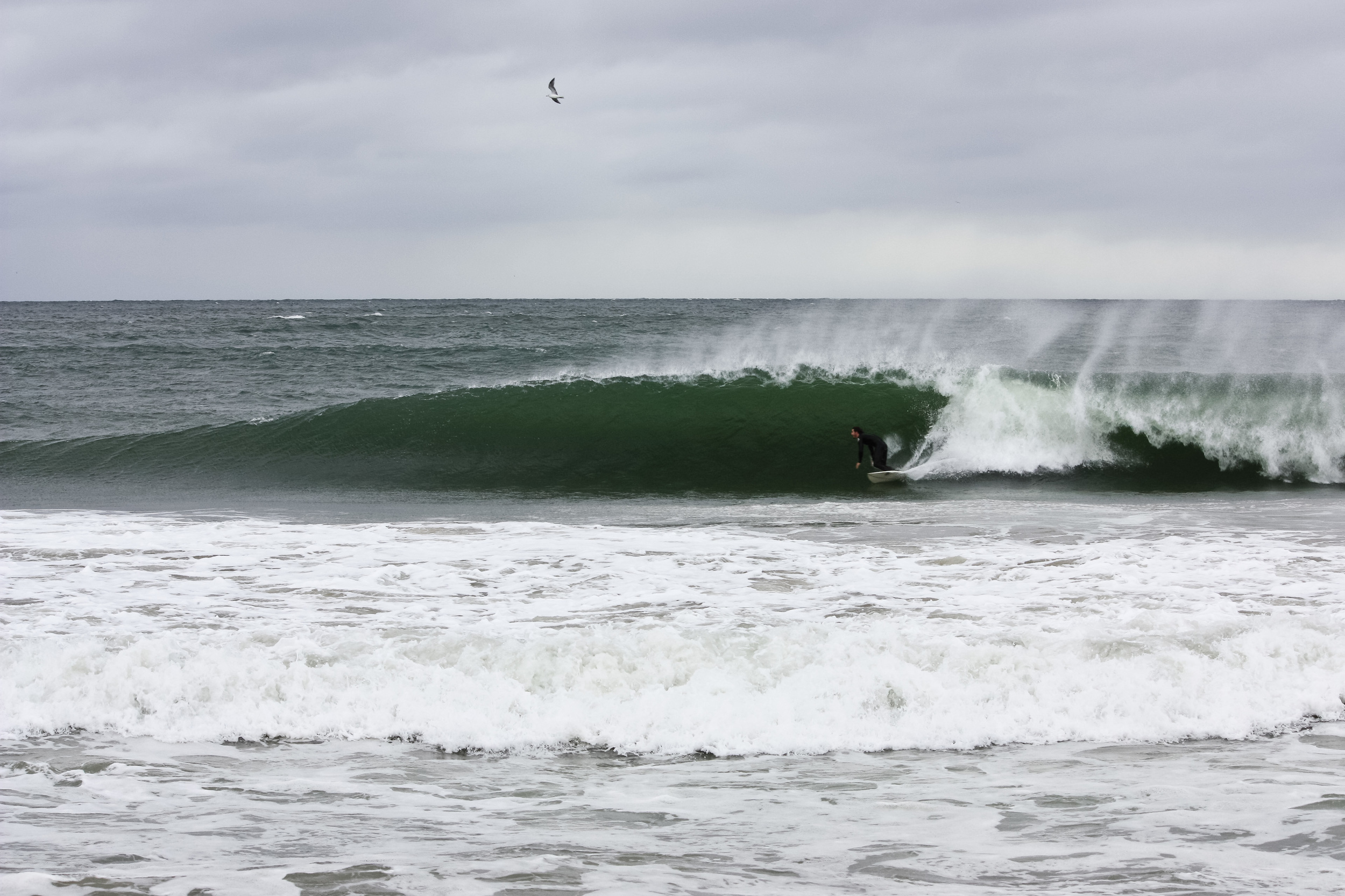 right sandy surf alue optics wave