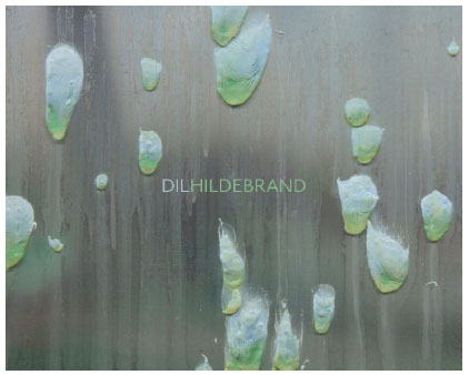 Cover - The Paintings of Dil Hildebrand