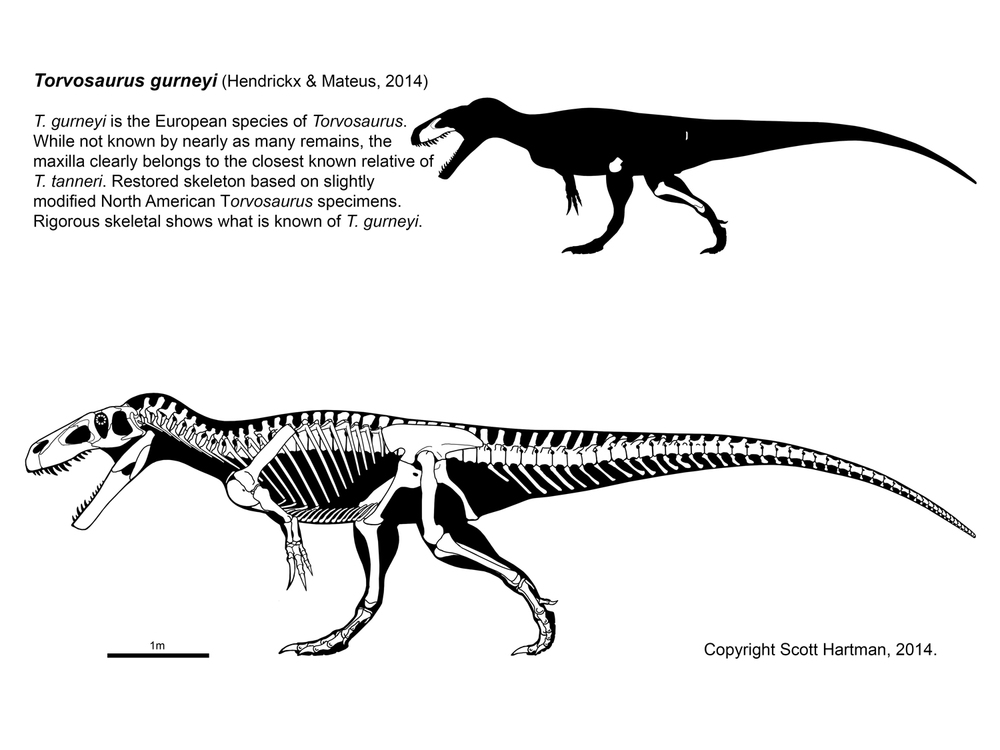 Torvosaurus%20gurneyi.jpg