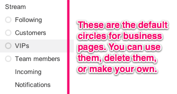 Default Google+ Circles for Business Pages