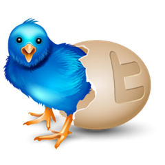 Twitter-egg-256