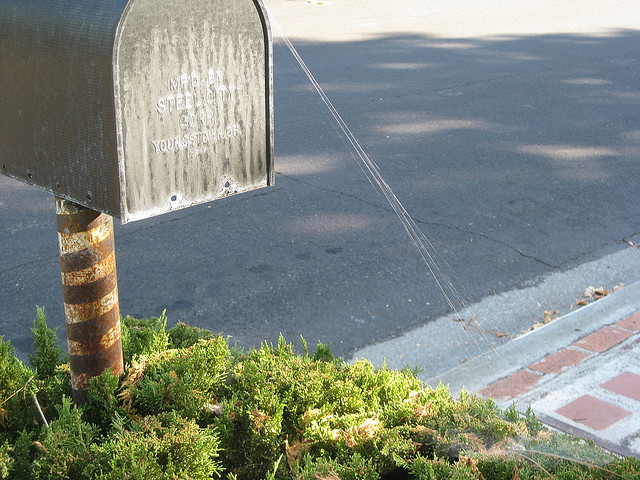 mailbox with cobwebs