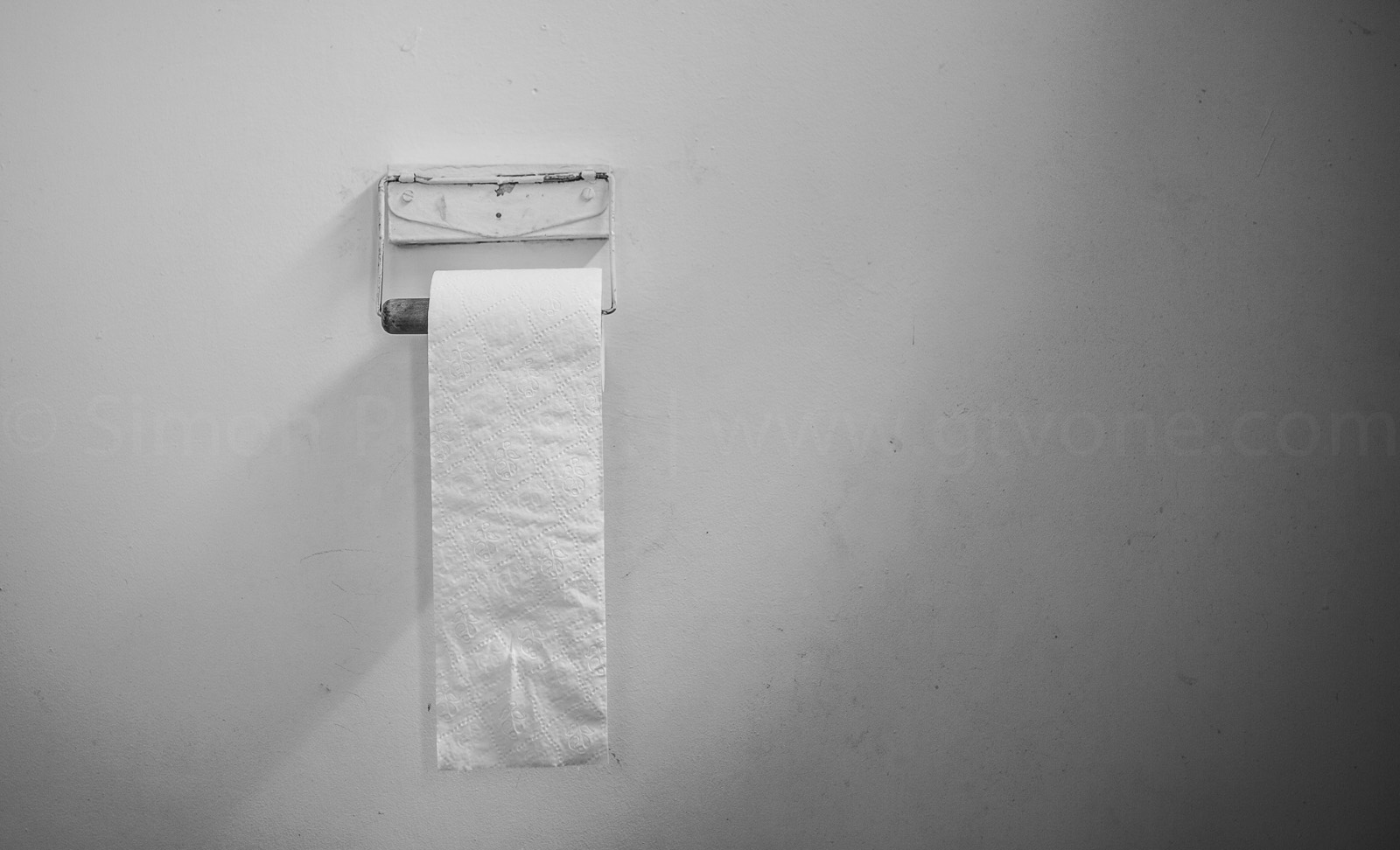 sustainable_green_soft_nz_toilet_paper