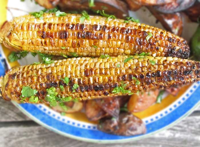 Mexican-style corn on the cob with coriander