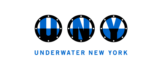 Underwater New York