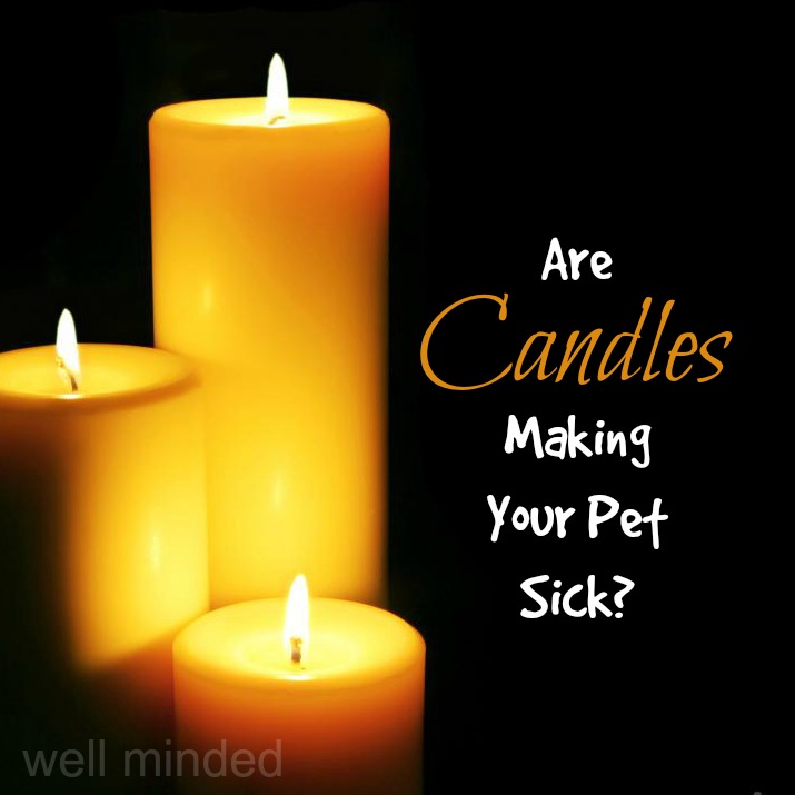  Ενοχλούν τα κεριά τον σκύλο;