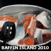 Baffin Island expedition 2010