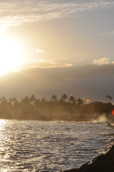 a sunkissed hilo bay