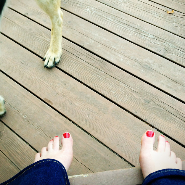 Feet with dog