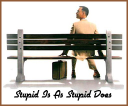 Marathon “Stupid Is As Stupid Does”