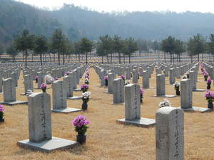 Seoul National Cemetery, March 2014