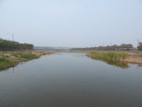The river near my apartment in Korea