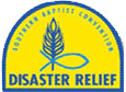 disaster logo