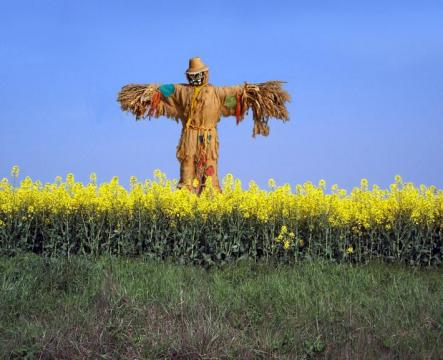 scarecrow2 usermyth