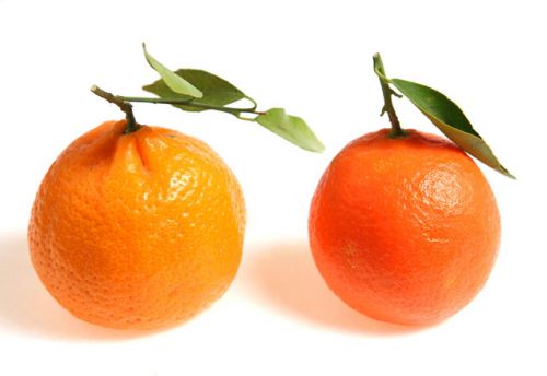two oranges 636