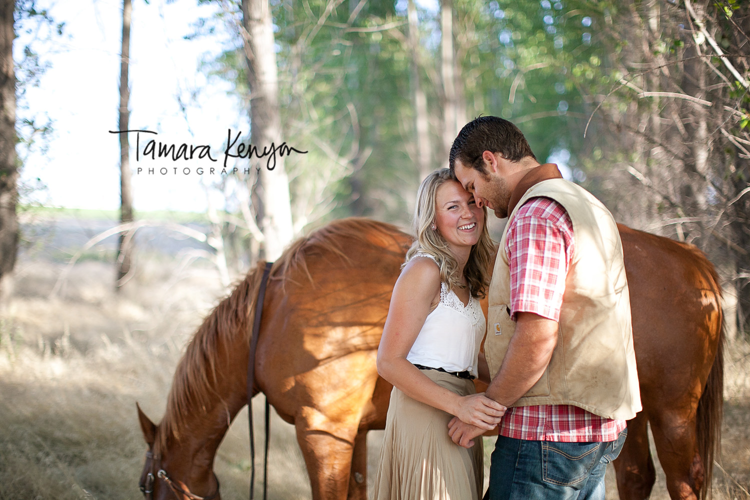 Horses_Idaho_Engagement