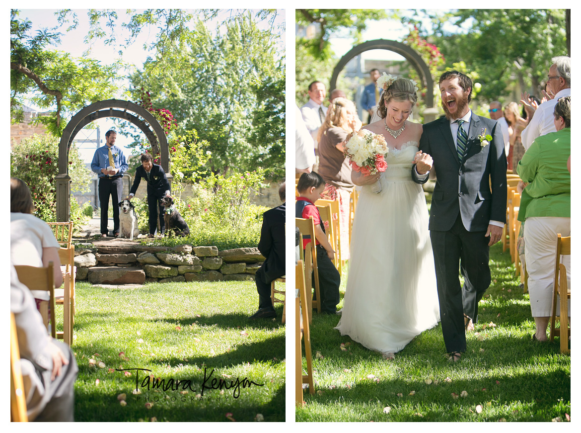 Wedding_Ceremony_Dogs