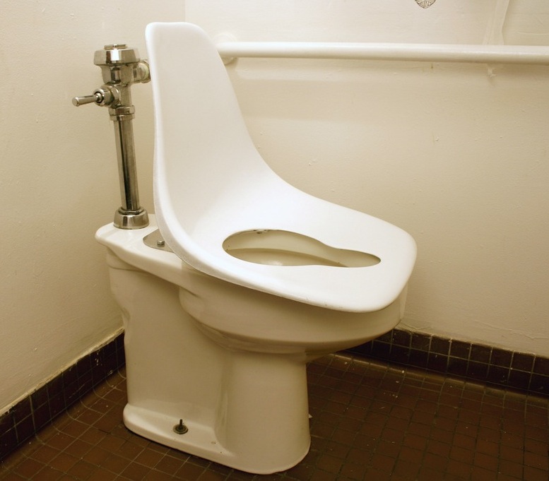 Eames Toilet Seat