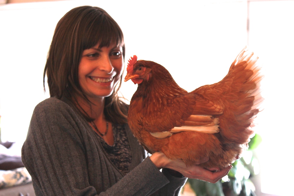 Eggs are 70% water, and our backyard chickens have thrived on Elmvale spring water. Here I am with Marjorie, who always wants to sit on my hand until it gets tired.