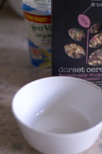 Bowl, muesli and yoghurt