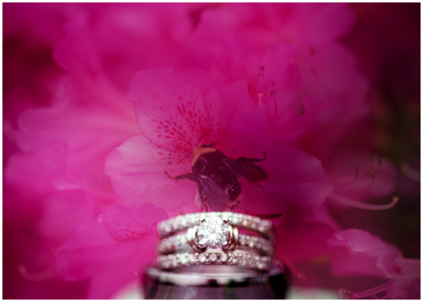 double exposure ring shot with bee