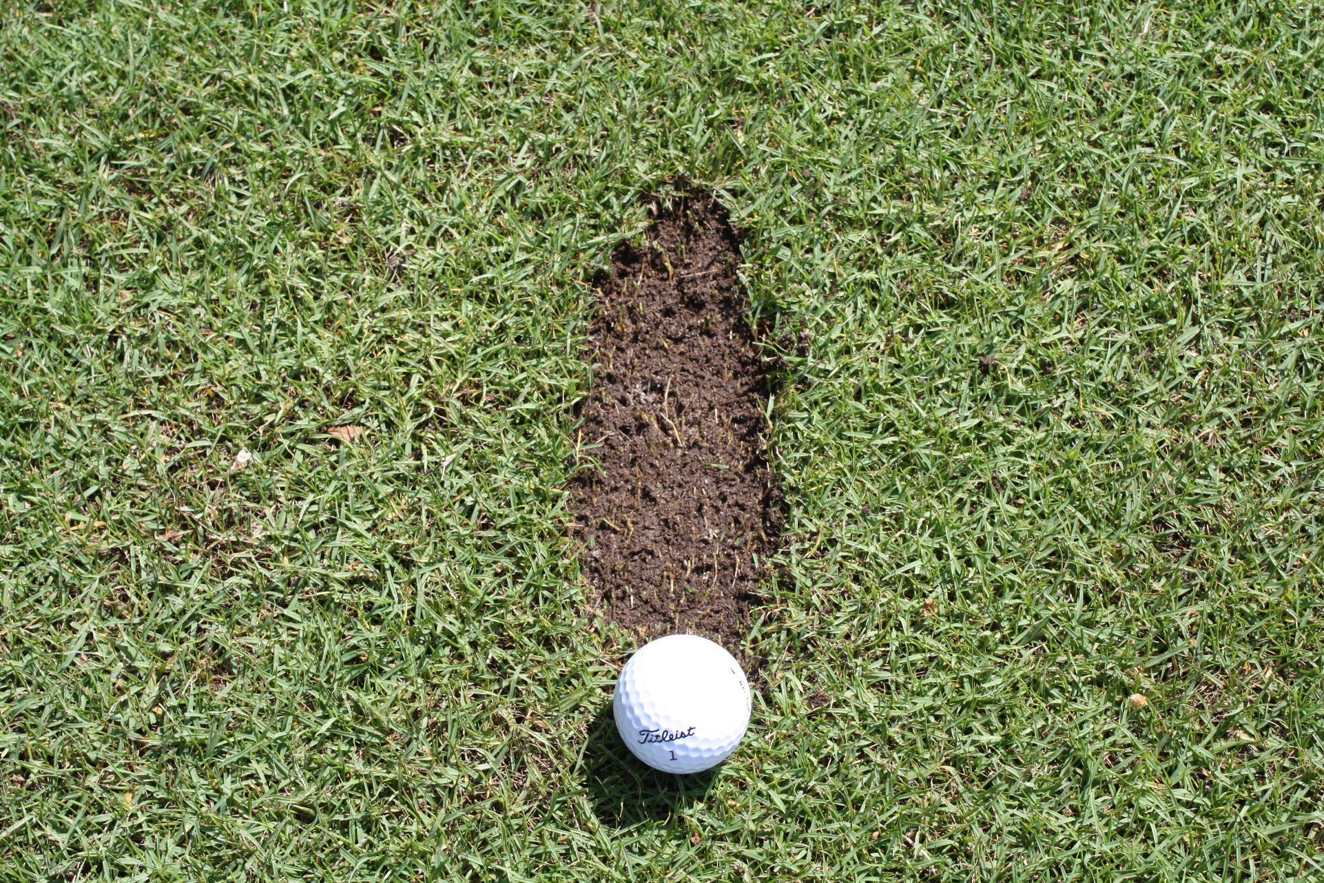 A Correctly Positioned Divot