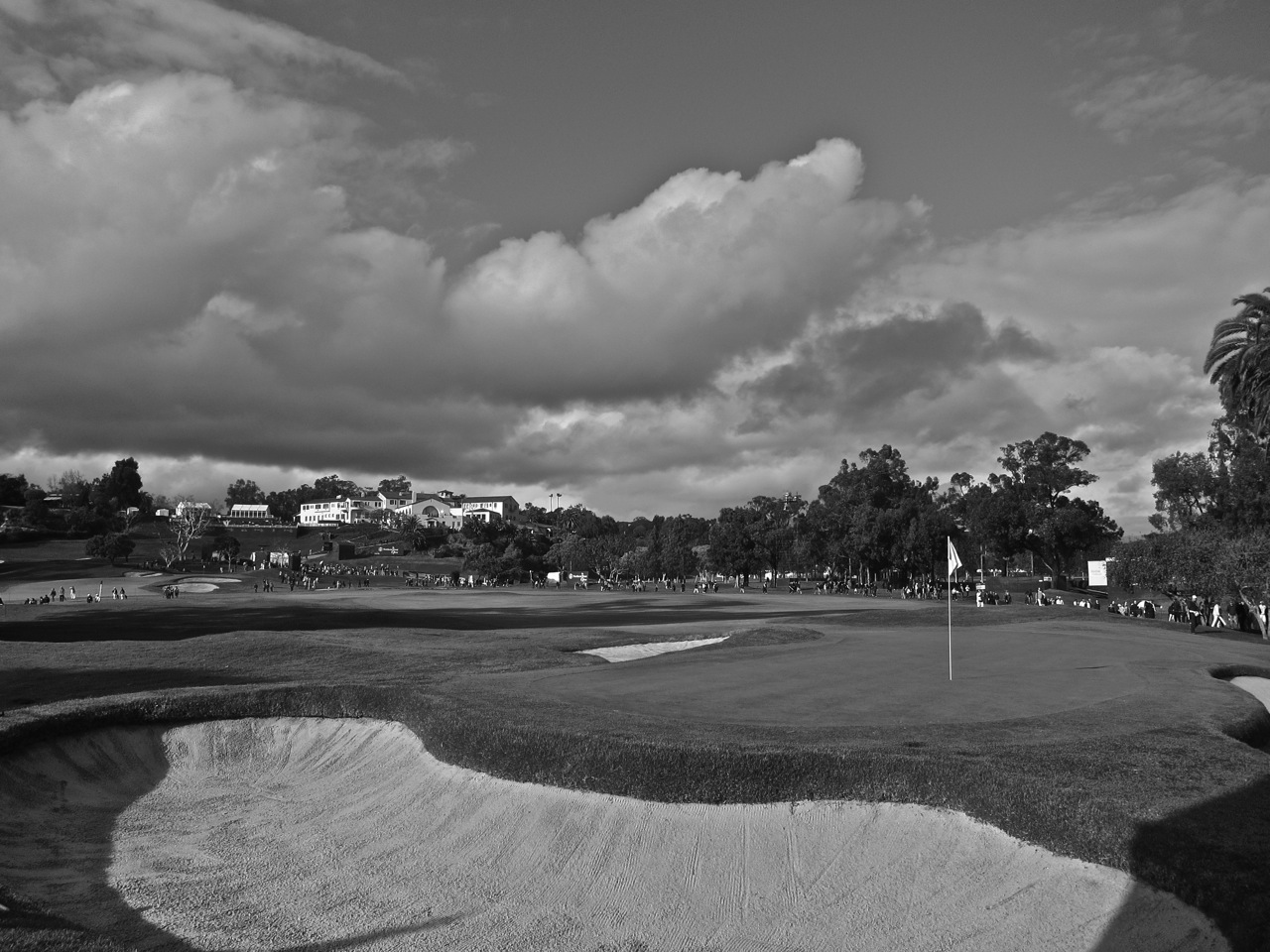 Looking Back from Behind the Tenth Green (Shackelford)