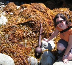 Leigha Horton + Monster Sea Kelp