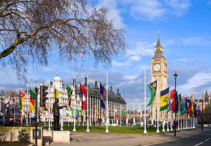 Image result for commonwealth flags london