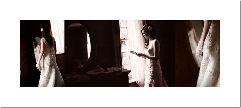 North Carolina Wedding Photographer Bridal Portraits by Revival Photography
