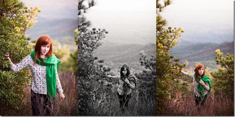 Photos by Revival Photography North Carolina Photographers