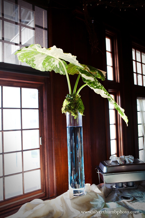 tall buffet table arrangements with alocasia leaves, succulents, and sheet moss